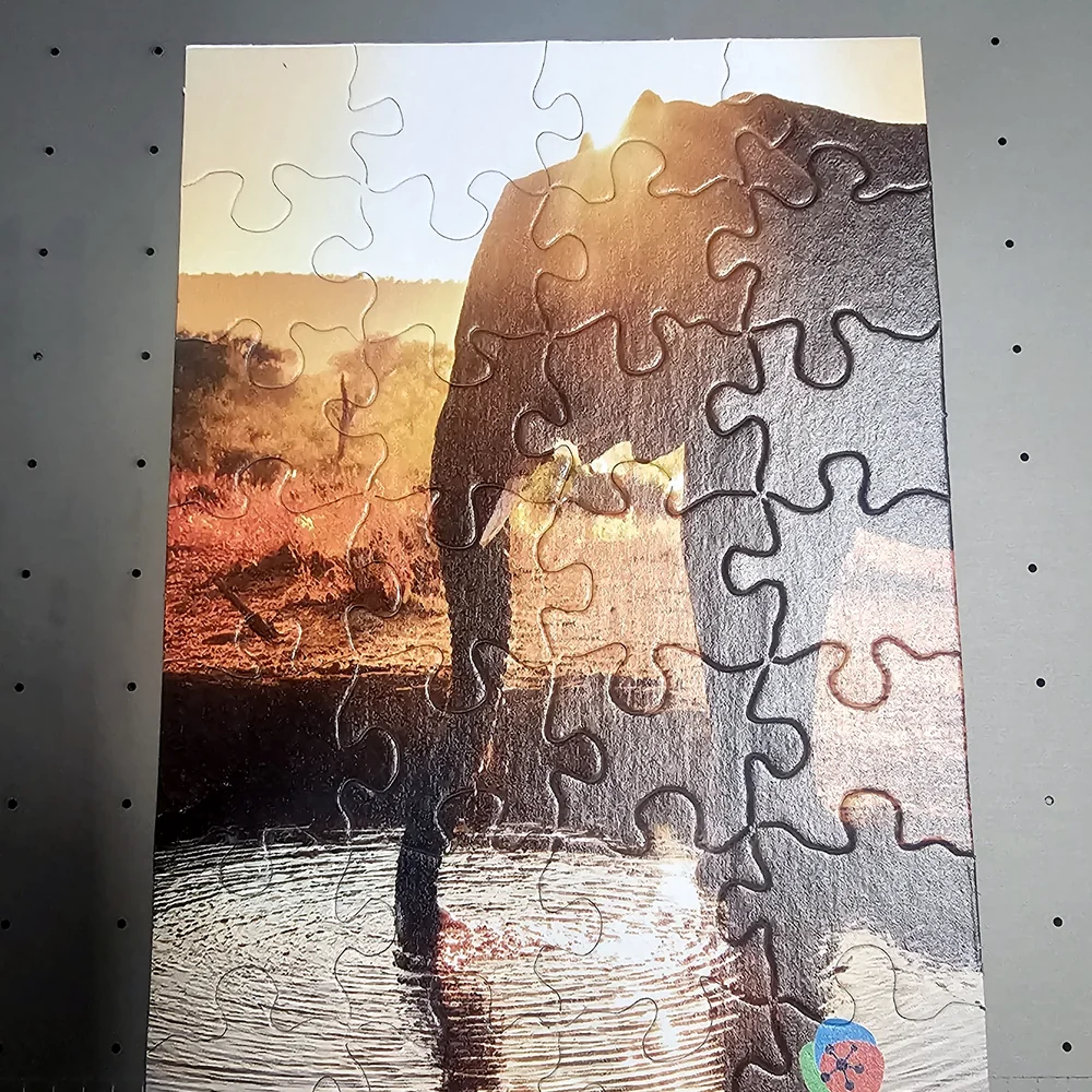Printed wooden puzzle